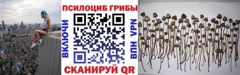ОМГ ОМГ онион  Сыктывкар  Галлюциногенные грибы Psilocybe 